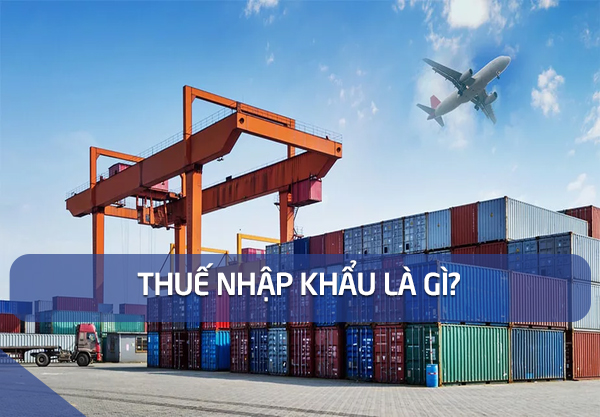Thuế nhập khẩu là gì? Thuế nhập khẩu hàng từ Trung Quốc về Việt Nam